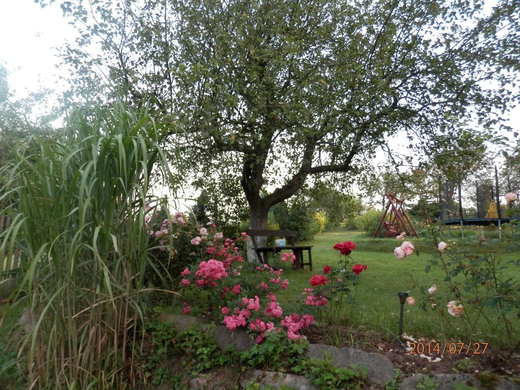 Zagroda Agroturystyczna Wiecha Mieroszow Extérieur photo